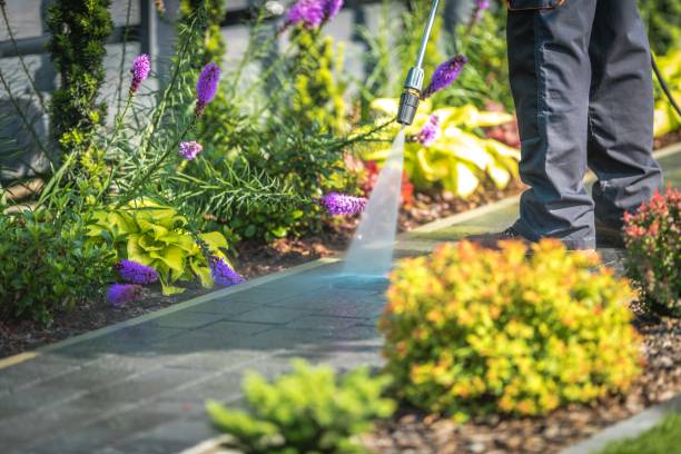 Reliable Neuse Forest, NC Pressure Washing Services Solutions